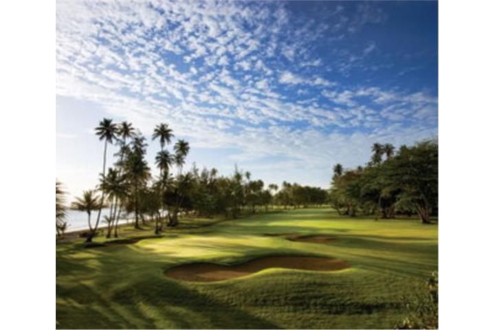 Rare One-Story Gem at Dorado Beach East