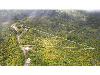 Terreno en Guayama 9 Cuerdas $50K 