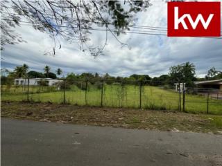 BO. COTO NORTE, SOLAR EN MANATI