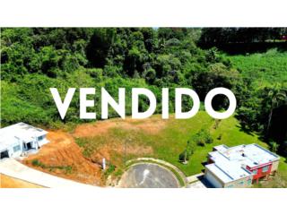 Si piensas Vender en Toa Alta, dame una llamada 