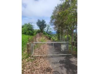 finca de 8.65 cuerdas bo jacanas yabucoa