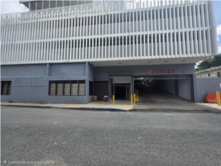 Galeria