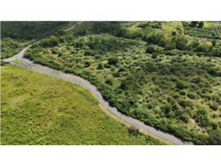 5 Lots for Sale in Salinas Investment Opportu