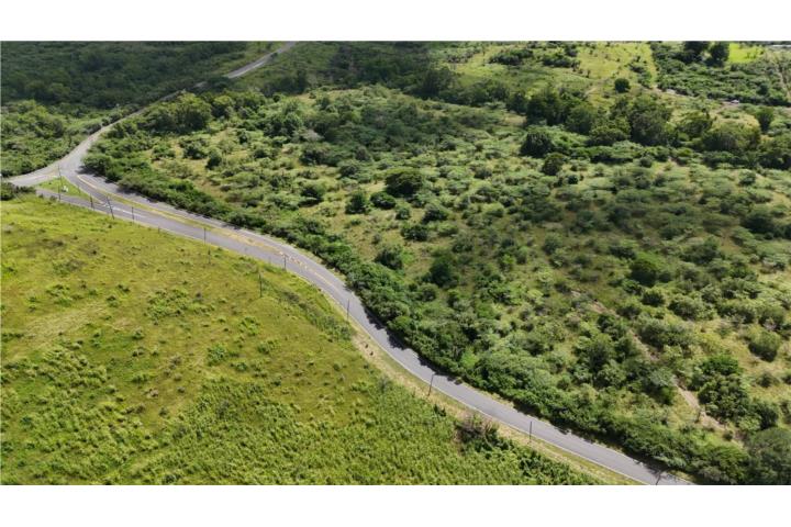 5 Lots for Sale in Salinas Investment Opportu