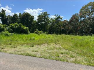 Terreno en el Bo. Sabana Hoyos, Arecibo
