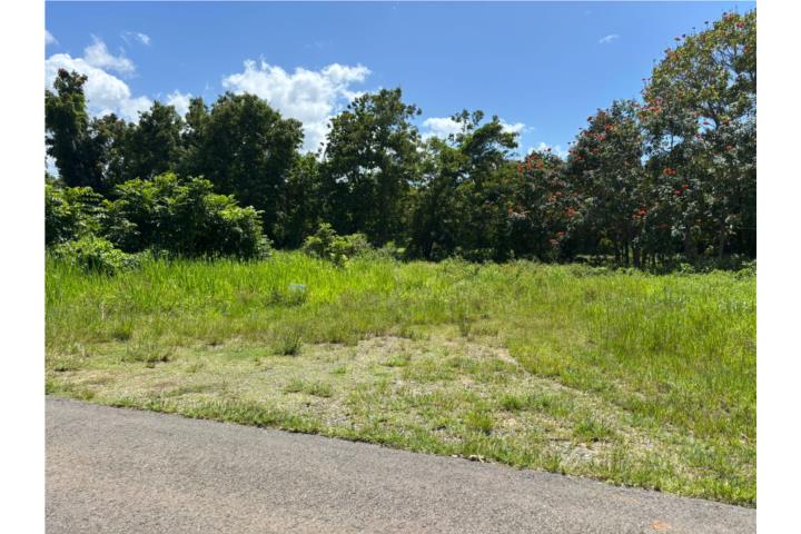 Terreno en el Bo. Sabana Hoyos, Arecibo