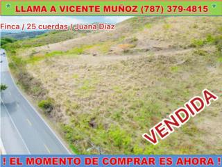 EXCELENTE FINCA EN RIO CANAS * INVERSION *