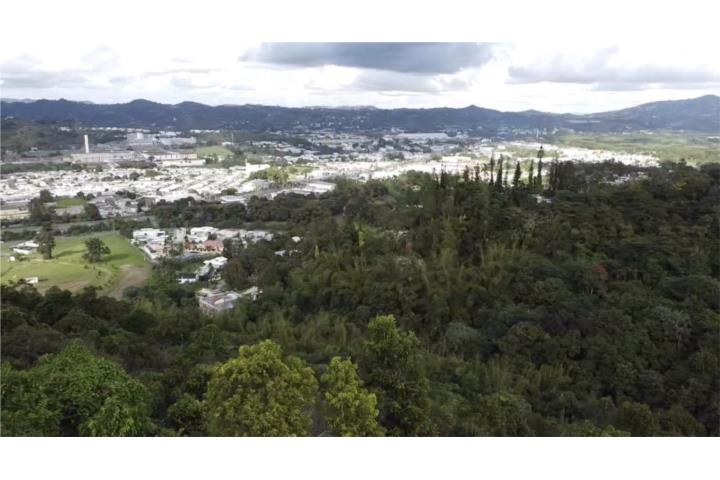 CAYEY 29 CUERDAS A 2 MIN PR-52