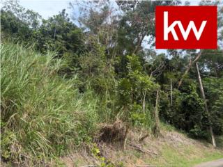 BO. BUENA VISTA, TERRENO EN BAYAMON