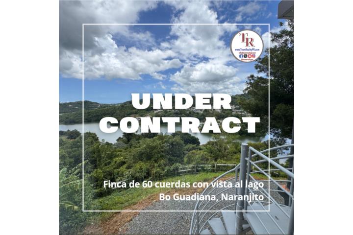¡Oportunidad única frente al Lago La Plata! 60 cuerdas (235,824 m2) con acceso directo al lago, 2 ca