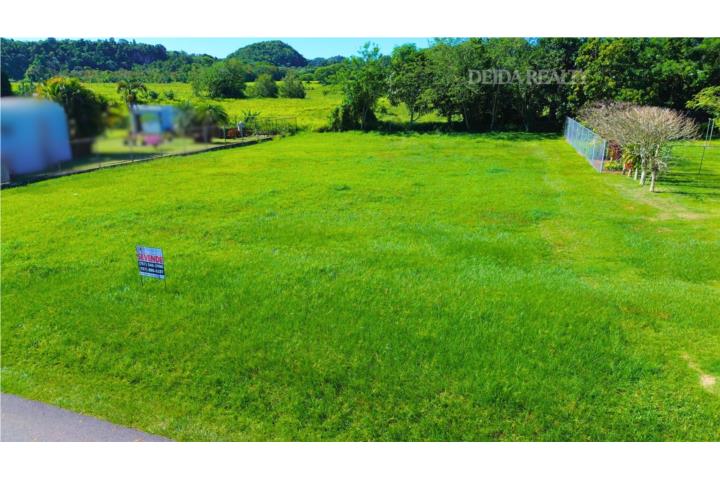 Solar Llano Y Listo Para Construir En Camuy.