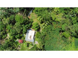 Excellent Location Surrounded by Nature 