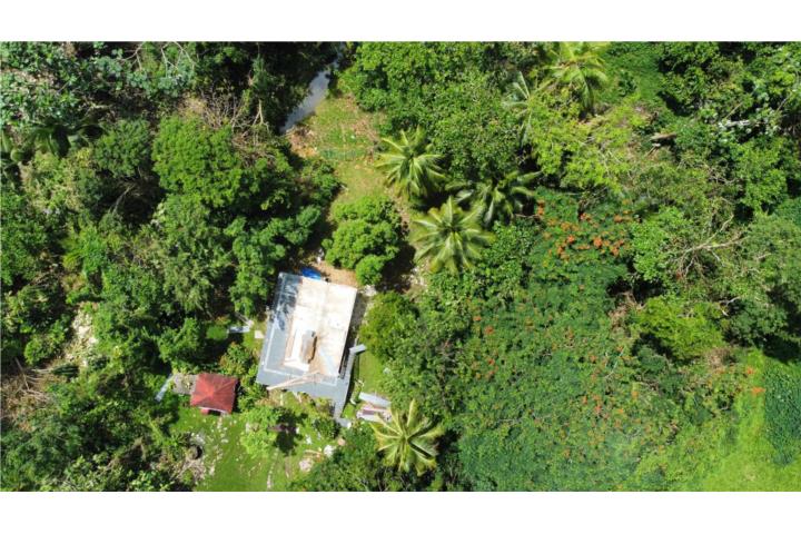Excellent Location Surrounded by Nature
