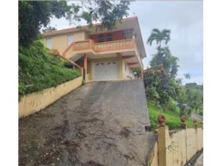 Bo. Toita sector el Quenepo Cayey P.R 
