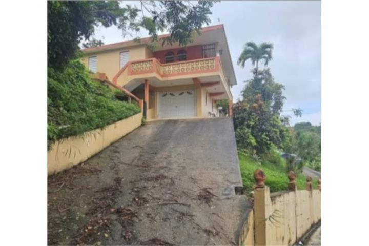 Bo. Toita sector el Quenepo Cayey P.R