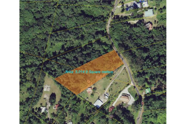 Terreno de 1 cuerda en Bo. Beatriz