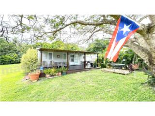 Malec�n de Naguabo... �Vive o Invierte!