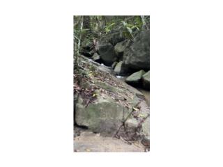 Finca 15.5 cuerdas Valenciano Arriba