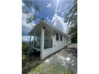 Bo Ca�aboncito, Caguas