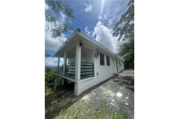 Bo Cañaboncito, Caguas