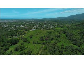 Finca  Permisos Aprob Listo para Desarrollo