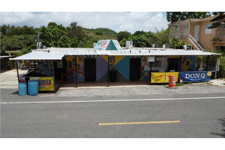 Carr. 118, km 1.3, Barrio Lajas Arriba, 00667