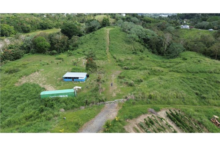Terreno en Humacao con POTENCIAL