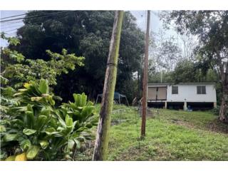 Carr. 344, Km. 1.2, Guanajibo, Hormigueros