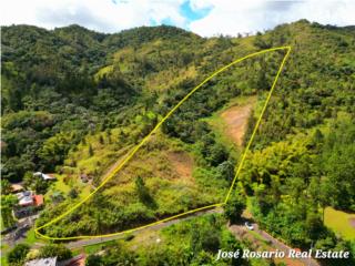 SE VENDE FINCA 10.22 CUERDAS EN PALO HINCADO