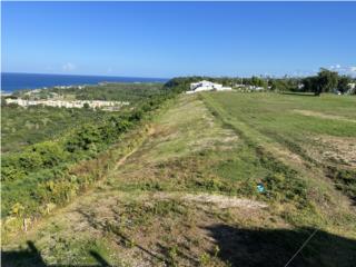 FINCA DE 5.8 CUERDAS, OCEAN VIEW, ISABELA,PR