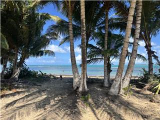 Beachfront Property in Las apucuas $599k