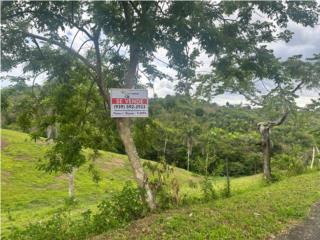 Se Vende Solar en Bo Rabanal, Cidra