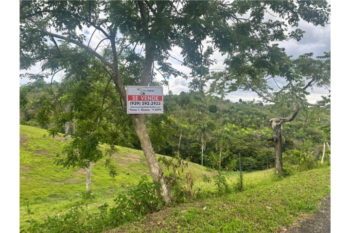 Se Vende Solar en Bo Rabanal, Cidra