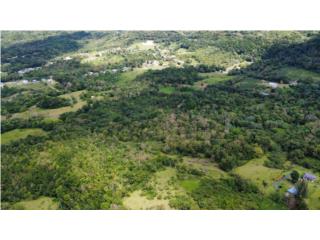 Tu finca perfecta | Bo. Saltos, San Sebasti�n