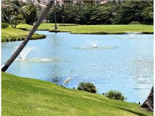 PALMAS DEL MAR RARELY AVAILABLE CONDOMINIUM 