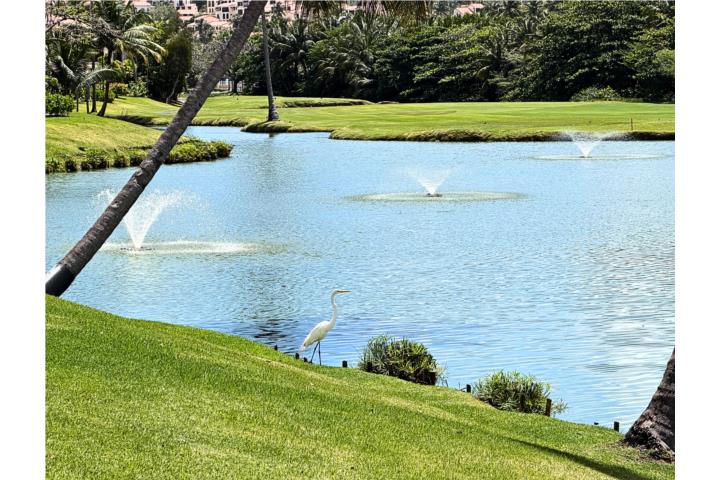 PALMAS DEL MAR RARELY AVAILABLE CONDOMINIUM