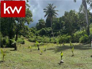 BO. ABRAS, TERRENO EN COROZAL