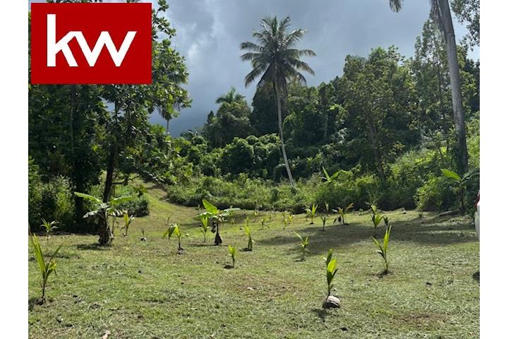 BO. ABRAS, TERRENO EN COROZAL