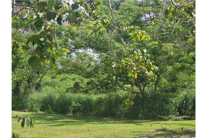 Colindando con San Agustín
