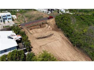 Urbanizaci�n Quintas de Altamira, Juana D�az 