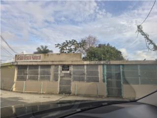 Galeria