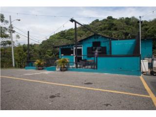 Operating Business Key for Sale Rincon $70K