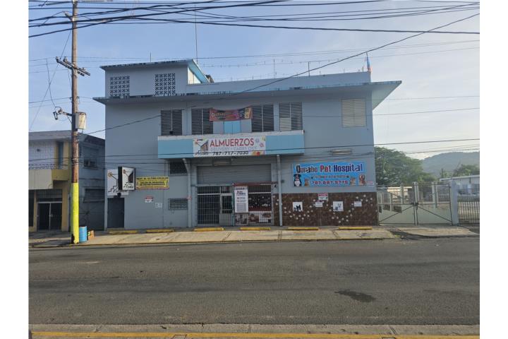 Gurabo Pueblo