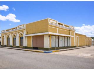 Puerto Rico - Bienes Raices VentaEdif Comercial-Calle Calimano-frente al CRIM Puerto Rico