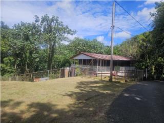 PR 354 KM 3.4 Rio Canas Ward, Mayag�ez 