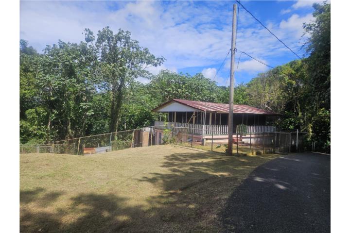 PR 354 KM 3.4 Rio Canas Ward, Mayagüez