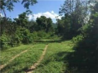 VENTA CAGUAS TURBAO WARD 129 CUERDAS!