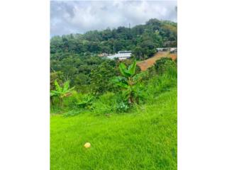 VENTA AYEY BO GUAVATE 2.36 CUERDAS TERRENO