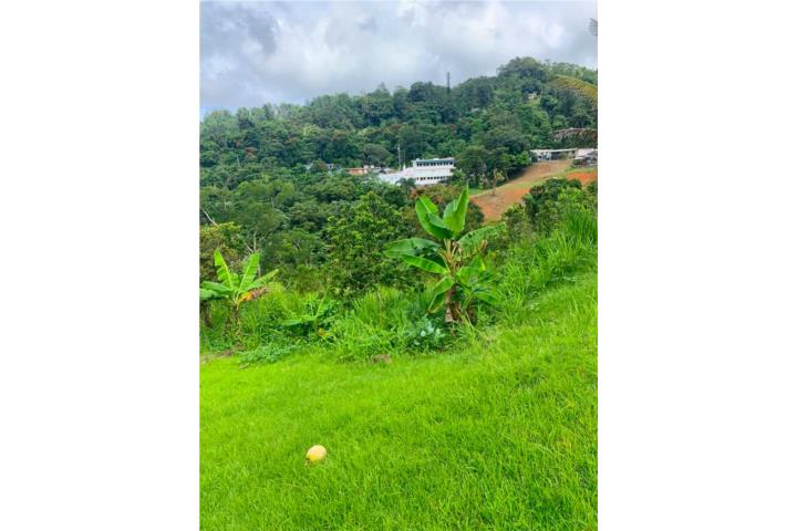 VENTA AYEY BO GUAVATE 2.36 CUERDAS TERRENO