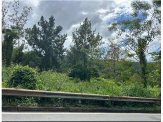 VENTA TERRENO BO GUAVATE 1616 METROS
